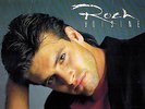 CANADA NM ENGLISH QUEBEC POP LP 1987 ROCH VOISINE : SELF-TITLED : MY CALGARY FLI