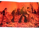 I PROFETI LP L'AMORE E'...ORIGINALE  PROG ITALIA