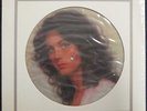 LYNDA CARTER - Portrait | RARE pop Wonder Woman SEALED Epic Picture Disc LP