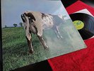 PINK FLOYD    