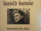 David Bowie - Portrait of a Star