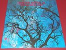 Amon Düül 2 -- Phallus Dei   --  LP / Rock / Progressive /  NEU 