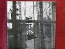 LP Paul McCartney Chaos And Creation In The Backyard