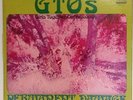GTOs White Label Promo Vinyl LP Zappa project Permanent Damage