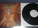 Cynic-Focus   1st press 1993 LP Netherland