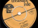 TECHNIQUES - LOVE IS A GAMBLE - TREASURE ISLE