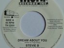 STEVIE B: DREAM ABOUT YOU / FUNKY MELODY rare THUMP rap 95' 45 colored wax
