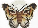 Talk Talk – Mark Hollis – For what it's worth – Shaped Picture disc – VERY RARE