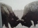 U2-Best of 1990-2000 Vinyl