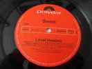 THE SWETT LEVEL HEADED 70s VINYL LP POLYDOR RARE PROGRESSIVE