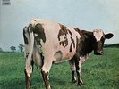 PINK FLOYD - ATOM HEART MOTHER - ITALIAN 1ST PRESS GATEFOLD RARE EX/VG+ HARVEST