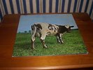 PINK FLOYD ATOM HEART MOTHER 1ST PRESS A-1G B-1G NO BOX EMI LOGO SUPERB COPY