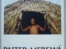 PAITER MEREWA - ETHNIC FIELD RECORDINGS, RAINFOREST, RARE PRIVATE LP BRAZIL HEAR