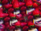 THEE OH SEES 