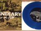 Incendiary Amongst The Filth RARE Blue Vinyl Backtrack NYHC Have Heart Bane OOP