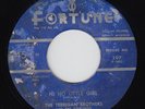 Rockabilly 45 THE TERRIGAN BROTHERS 