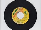 ZION DISC/ZION WE WANT TO GO  -  SONS OF NEGUS (68 REGGAE ROOTS 7