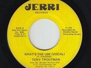 70s Soul 45 - Tony Troutman - What's The Use - Jerri - mp3 - rare