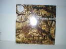 TRAVIS - THE INVISIBLE BAND - RARE LP - 2001 - ISOMLP 1ST PRESSING A1/B1
