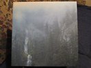 Wolves in the Throne Room 