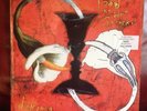 Toad The Wet Sprocket Dulinea Orig 1994 LP Alt-Rock Import EXCELLENT Cond 