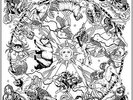 CRB/Chris Robinson Brotherhood 