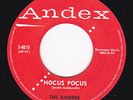 Rockabilly REPRO 45 - The RAIDERS - Hocus Pocus / Yoo Hoo