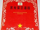 Vietnamese 10