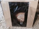 RARE Black Out by The Good Life (Vinyl, Nov-2002, Saddle Creek Records)