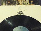 THE SLITS - Cut   VINYL LP