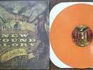 New Found Glory - Not without a fight (2009) LP (MINT) TOP ltd. Press  750 Stk.