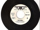 Rear Exit Excitation-Miles Beyond-Garage-Psych-MTA promo-White Label-1967