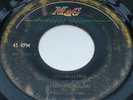 TRAFFIC SOUND: Meshkalina   WICKED PSYCH MOD FUNK   mp3