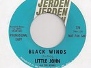 LITTLE JOHN and the MONKS : Black Winds (Jerden 775) NW Garage Psych 45 LISTEN