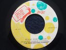 THE NEW ESTABLISHMENT - ROCK FORT ROCK   (Roots Reggae)  45
