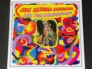 Jimi Hendrix 'Are You Experienced?' LTD French Pressing LP Compil. Clear Wax NM