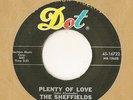 The Sheffields Rare Garage Freakbeat  45 Plenty of Love Bags Groove Dot 16722