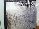 Vinyl - Bon Iver - For Emma, Forever Ago