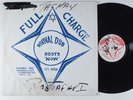REVIVAL Roots Now WELL CHARGE LP