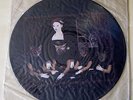 The Jesus Lizard LIAR Picture Disc Vinyl LP Rare Indie Punk 1992 Touch & Go