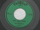 THE MAJESTICS HARD TIMES/TEEN AGE GOSSIP CONTOUR 501,Rare Detroit Soul (NM)