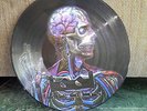 TOOL LATERALUS Picture Disc Limited Edition RARITÄT