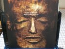 MISTY IN ROOTS/ROOTS CONTROLLER/UK VIRGIN, REAL WORLD 2LP