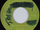 Reggae 45 FRED LOCKS Black Star Liners JAHMIKMUSIK HEAR