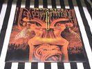TESTAMENT  THE GATHERING FIRST PRESS G/FOLD LP  EXODUS EXCITER DESTRUCTION