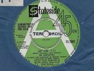 THE VONTASTICS-LADY LOVE(CHICAGO CLASS)-STATESIDE-***GREEN/WHITE DEMO***