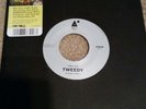 Tweedy Summer Noon Do The Minimum Wilco Jeff Sukierae rare limited pink new 45 7