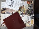 Child Molesters, The Legendary Brown Album, RAR, Garage Punk, LP