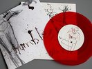 Babyshambles Delivery Red Vinyl Poster G/F unplayed Libertines Peter Doherty