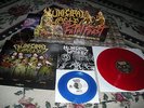 Municipal Waste Fatal Feast LP COLL EDIT the Accused D.R.I. C.O.C. Anthrax
